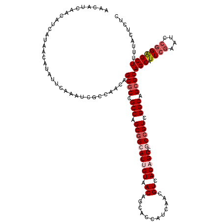 secondary structure