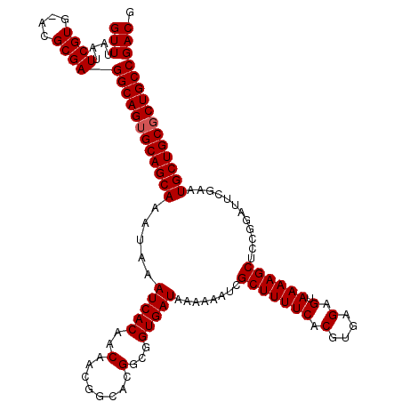 secondary structure