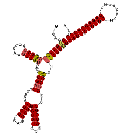 secondary structure