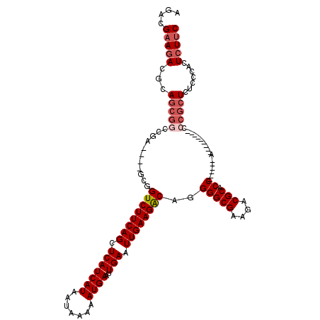 secondary structure