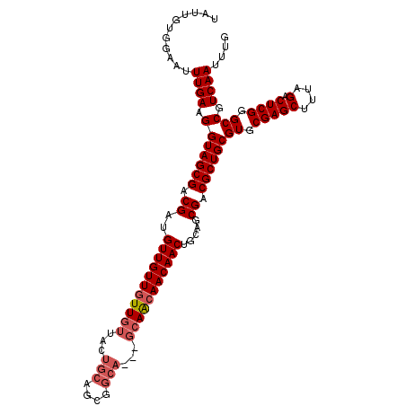 secondary structure