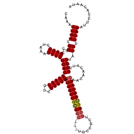 secondary structure
