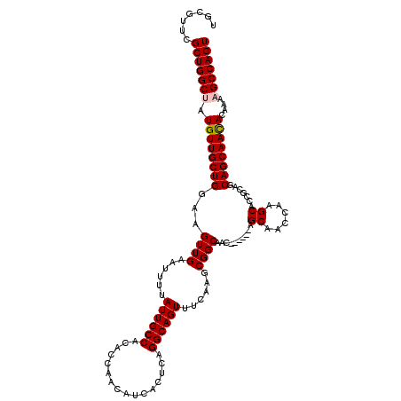 secondary structure