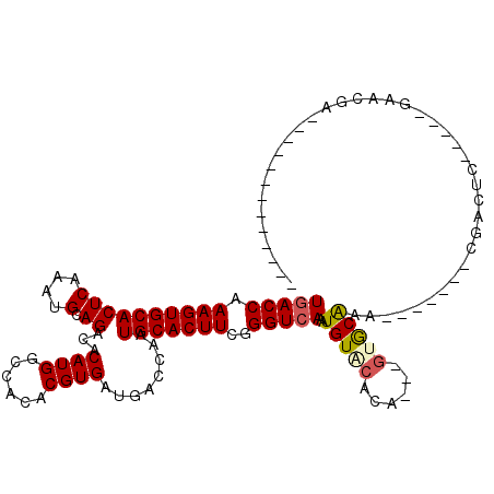 secondary structure