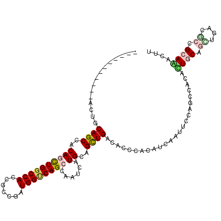 secondary structure