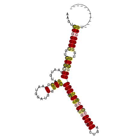 secondary structure