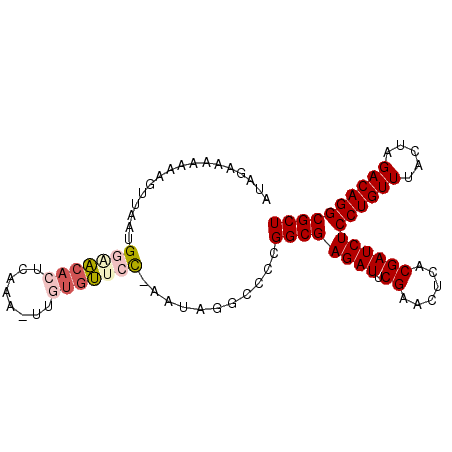 secondary structure