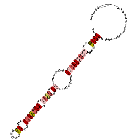 secondary structure