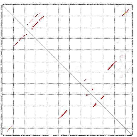 dotplot