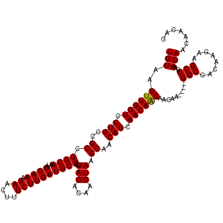 secondary structure