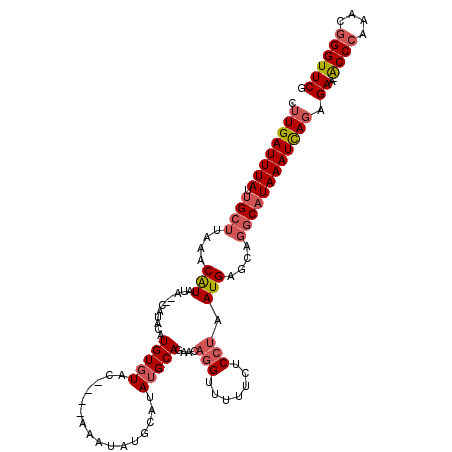 secondary structure