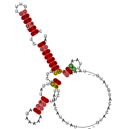 secondary structure