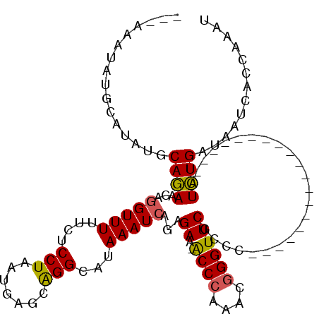 secondary structure