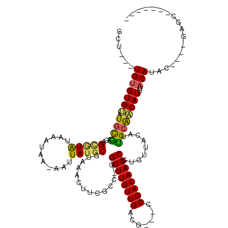 secondary structure