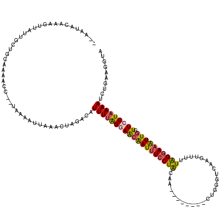 secondary structure