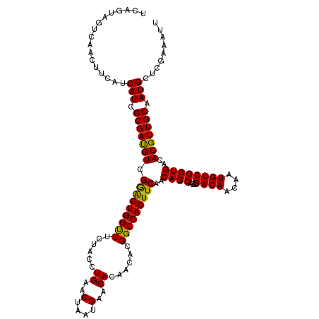 secondary structure
