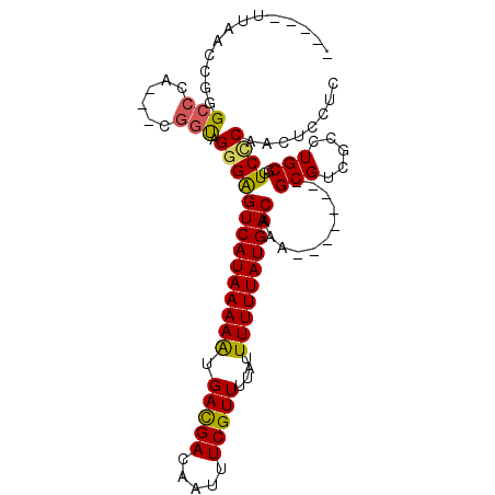 secondary structure