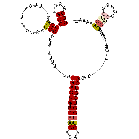 secondary structure
