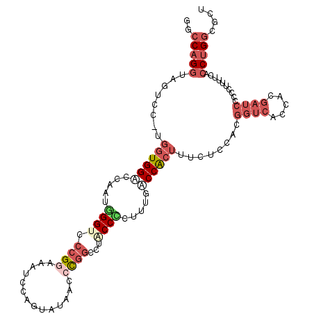 secondary structure