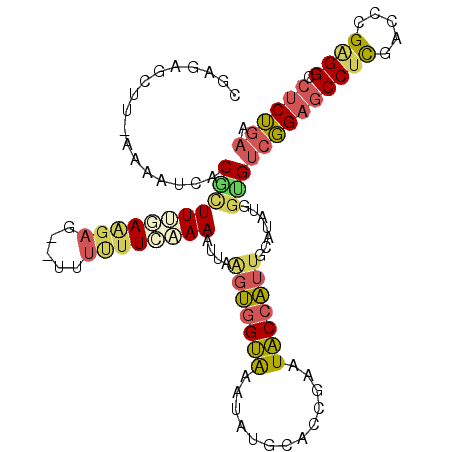 secondary structure
