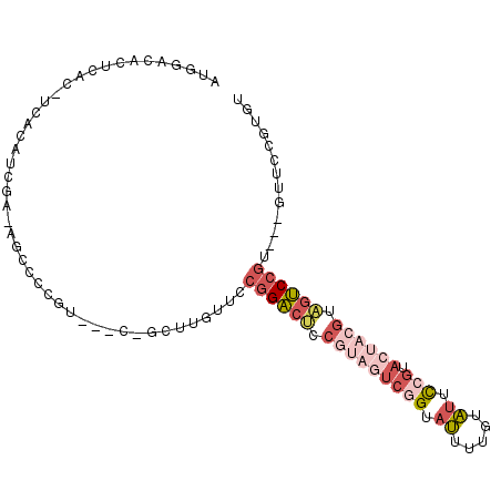 secondary structure