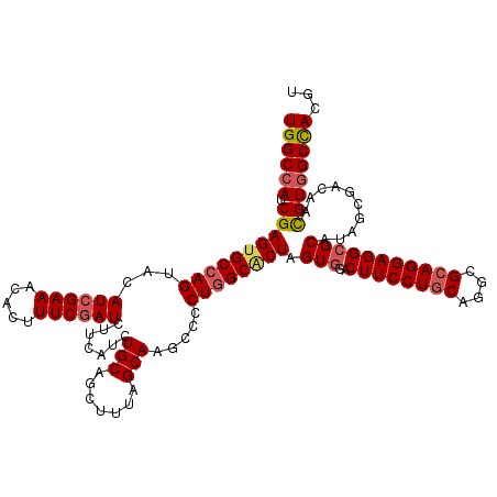 secondary structure
