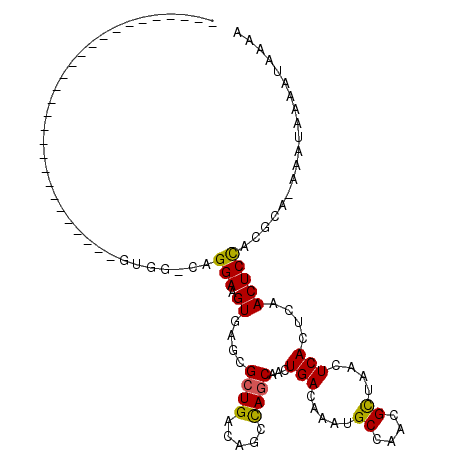 secondary structure