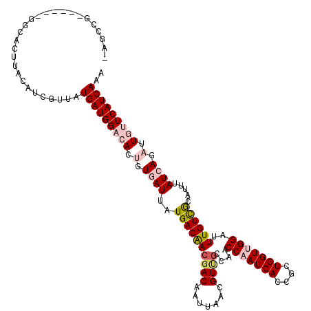 secondary structure