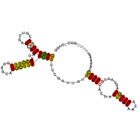 secondary structure