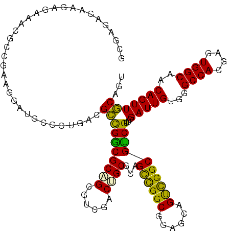secondary structure