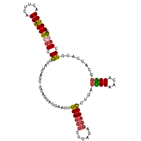 secondary structure
