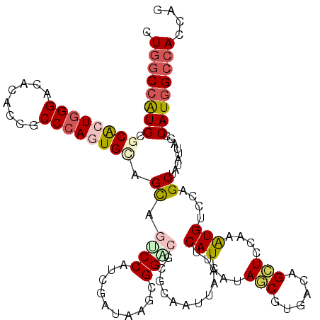 secondary structure