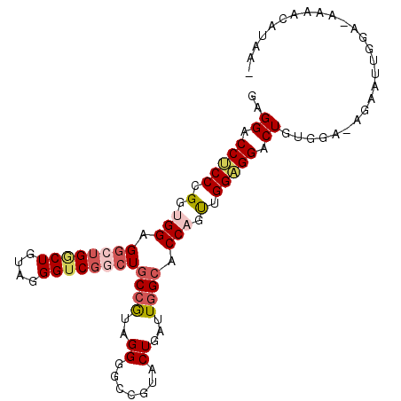 secondary structure