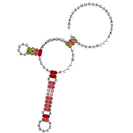 secondary structure