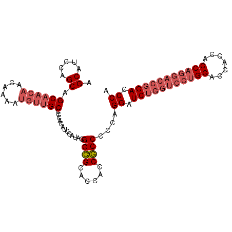 secondary structure