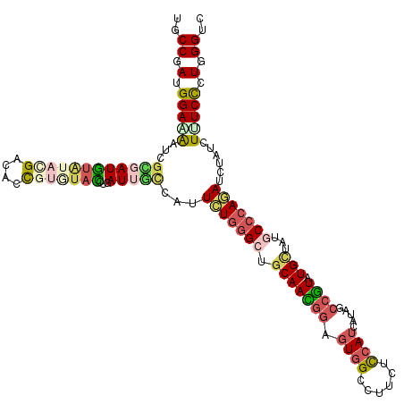 secondary structure