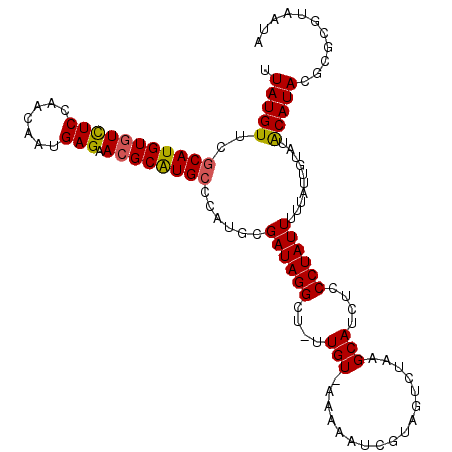 secondary structure