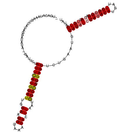 secondary structure