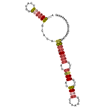 secondary structure