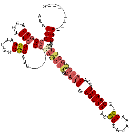 secondary structure
