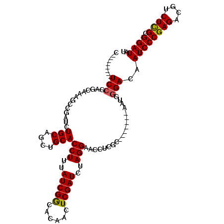 secondary structure