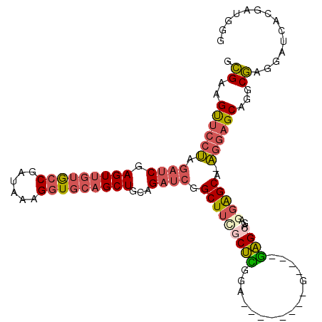 secondary structure