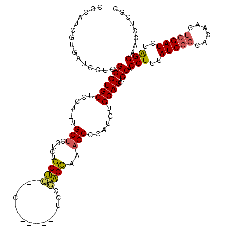 secondary structure