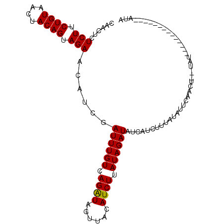 secondary structure