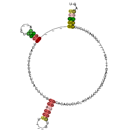 secondary structure