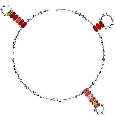 secondary structure