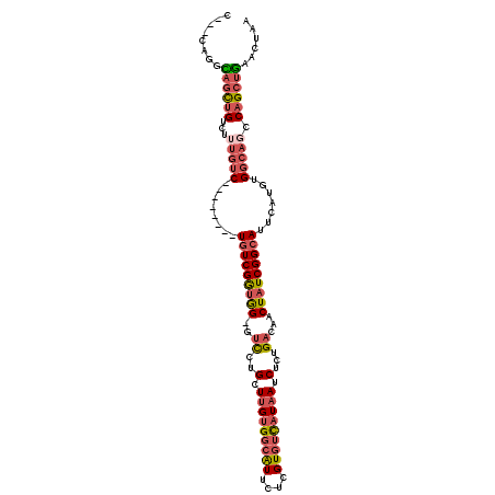 secondary structure