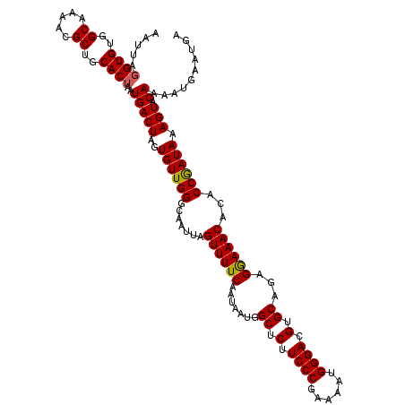 secondary structure
