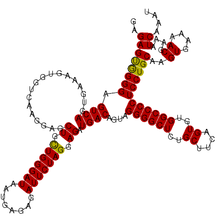 secondary structure
