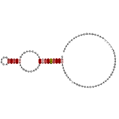 secondary structure